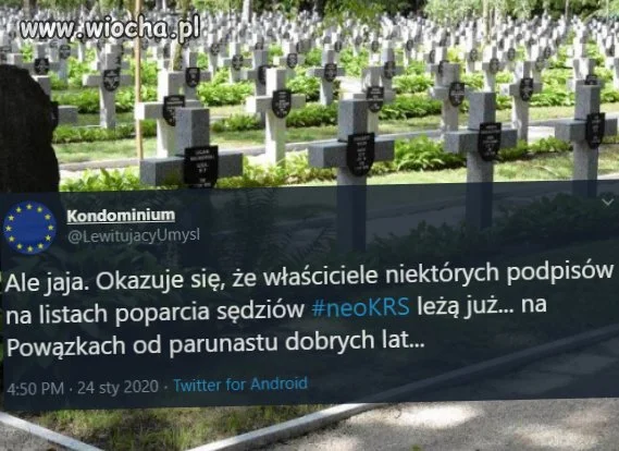 Ale jaja!