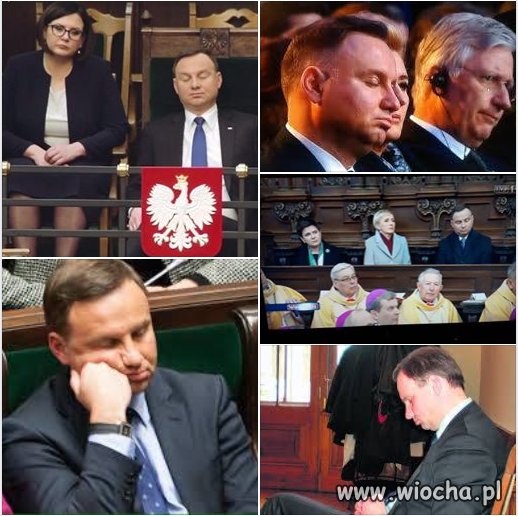 Tak to wygląda