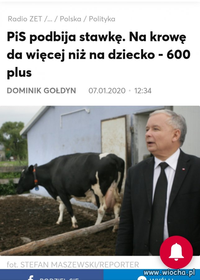 Młokosy jedne