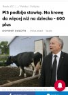 Młokosy jedne