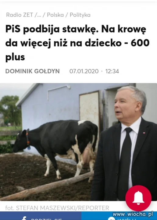 Młokosy jedne