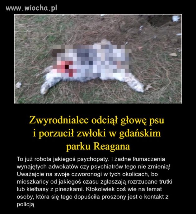 Tymczasem w Gdańsku