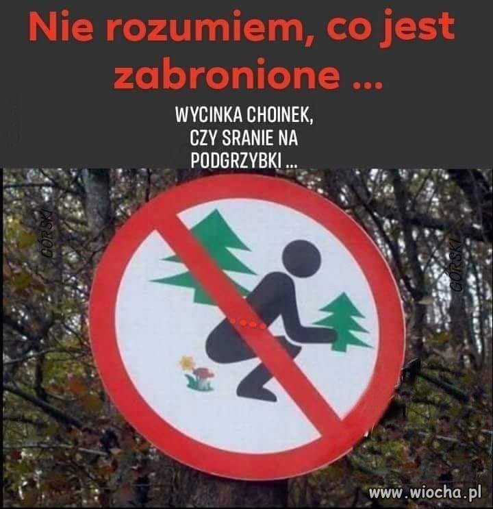 A wy jak myślicie
