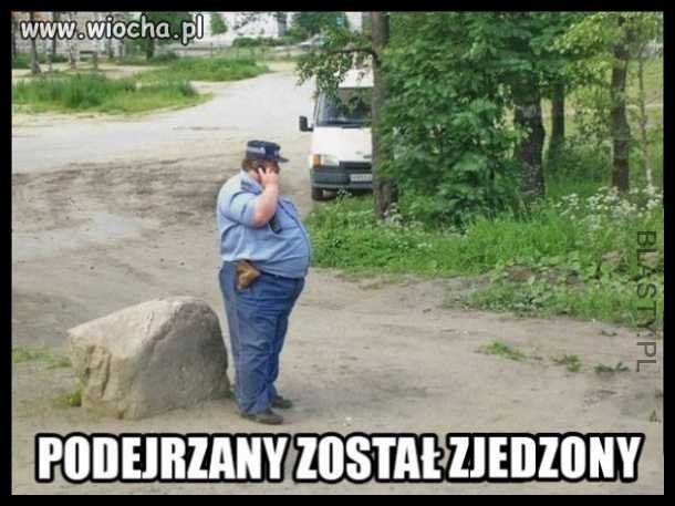 Testy sprawnościowe?