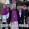 Pewnie mają