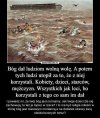 Ma to sens.