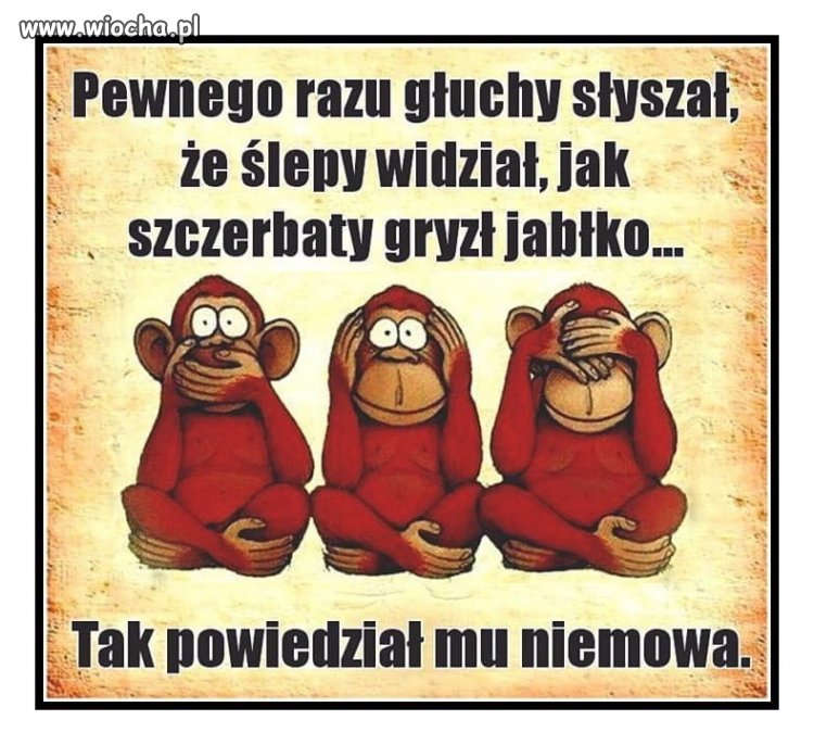 Wypisz i wymaluj wiadomości TVP