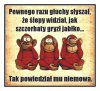 Wypisz i wymaluj wiadomości TVP