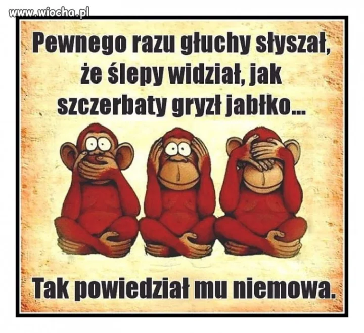 Wypisz i wymaluj wiadomości TVP