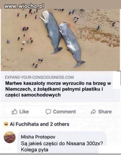 Kolega pyta
