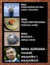 Rodzaje min