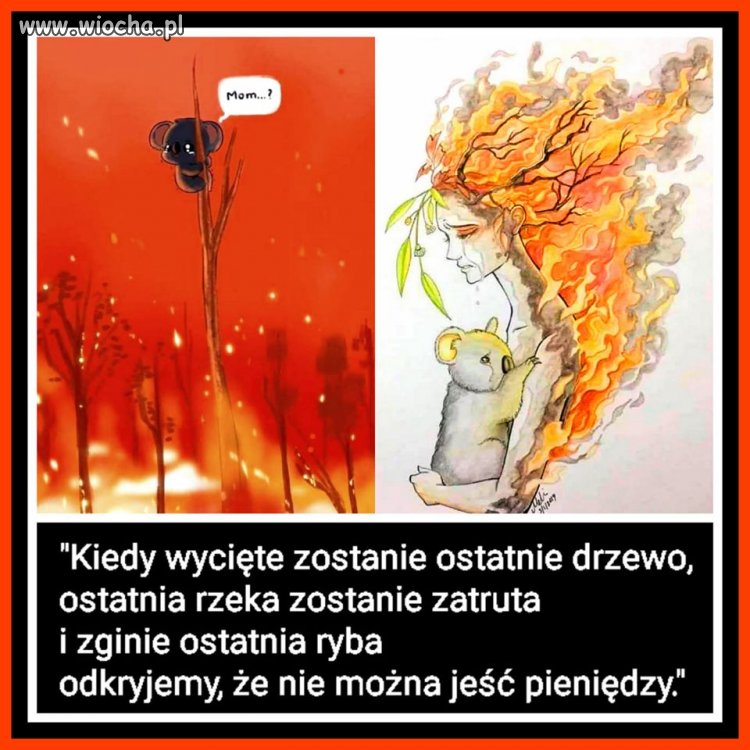 Smutne ale prawdziwe