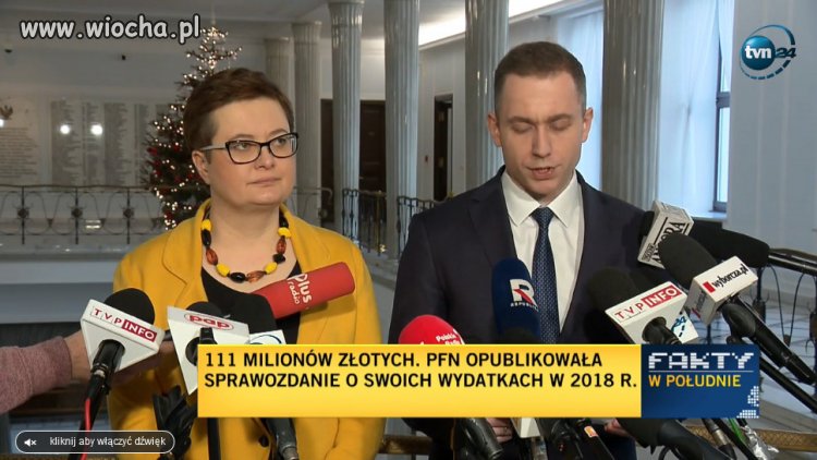 Wstydzimy się za Polską Fundację Narodową 