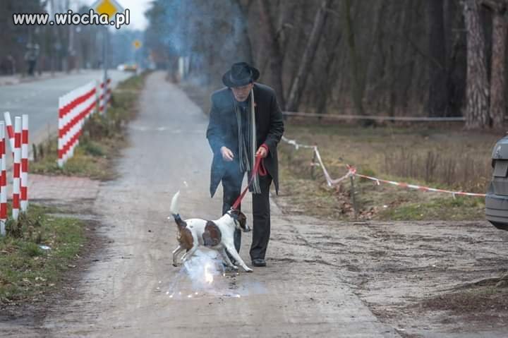 Znany polityk testuje petardy z psem...