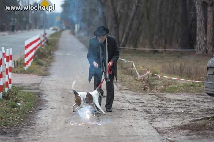 Znany polityk testuje petardy z psem...