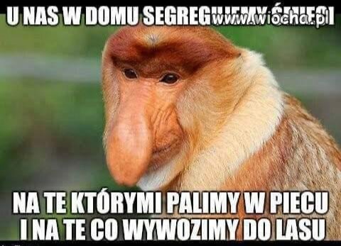 Segregacja śmieci