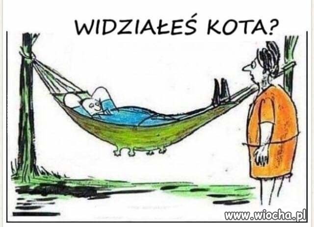Najmodniejsze zwierze w Polsce
