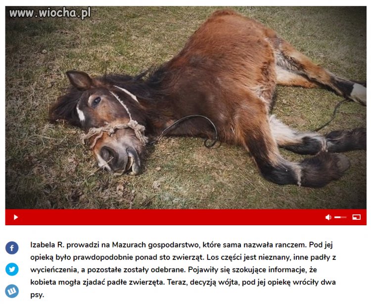 Ranczo grozy na Mazurach