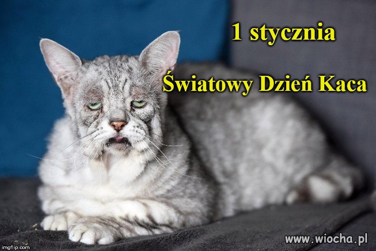 Rosołek, herbatka i cisza...