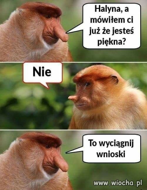 Halyna...