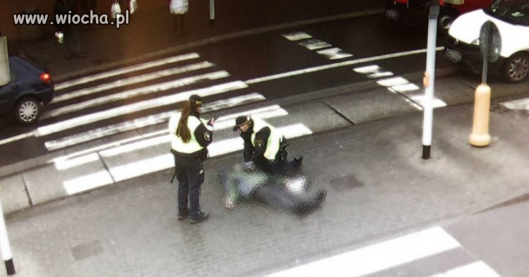 Wielka tragedia na pasach w Gliwicach. Mężczyzna upadł na ziemię, a ludzie nie zareagowali... 