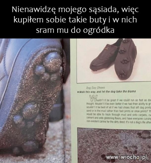 Somsiad somsiadowi...