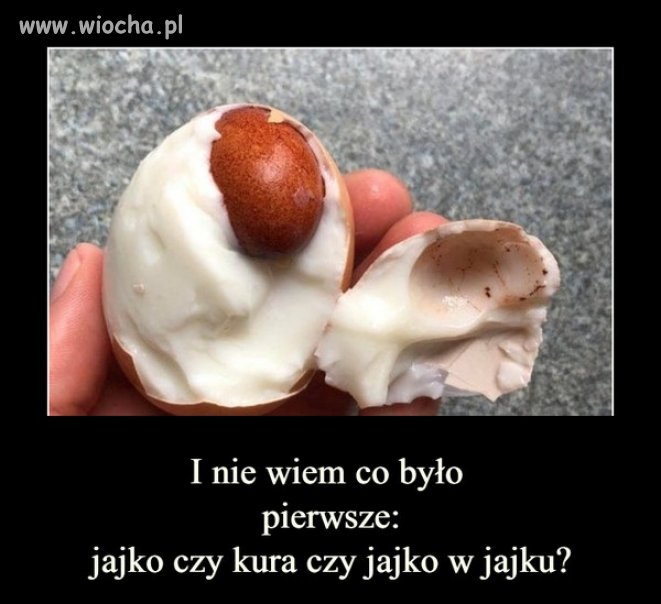 Kwadratura koła
