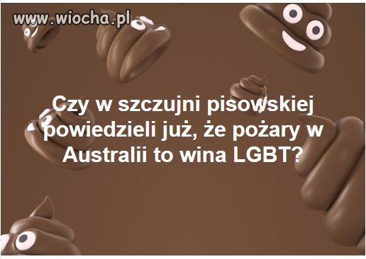Czyli winni już znalezieni.