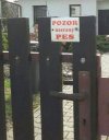 Zły pies???
