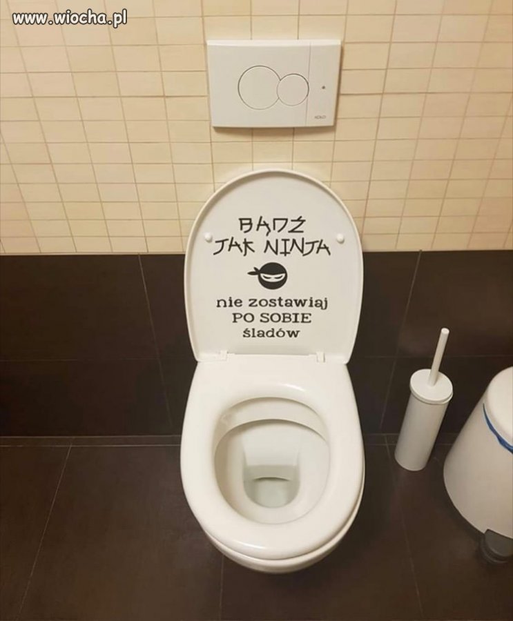 Ninja 