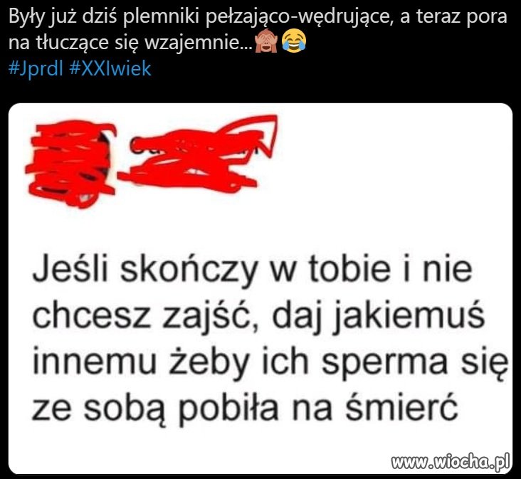 Bitwa na plemniki...