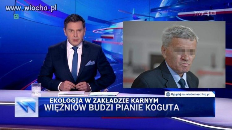 Heheszki