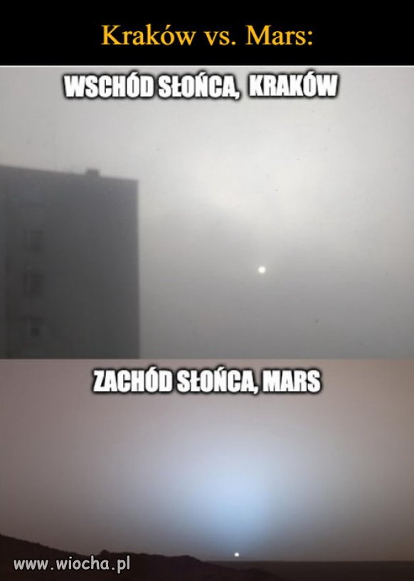 Tyle słońca w całym mieście bla bla bla
