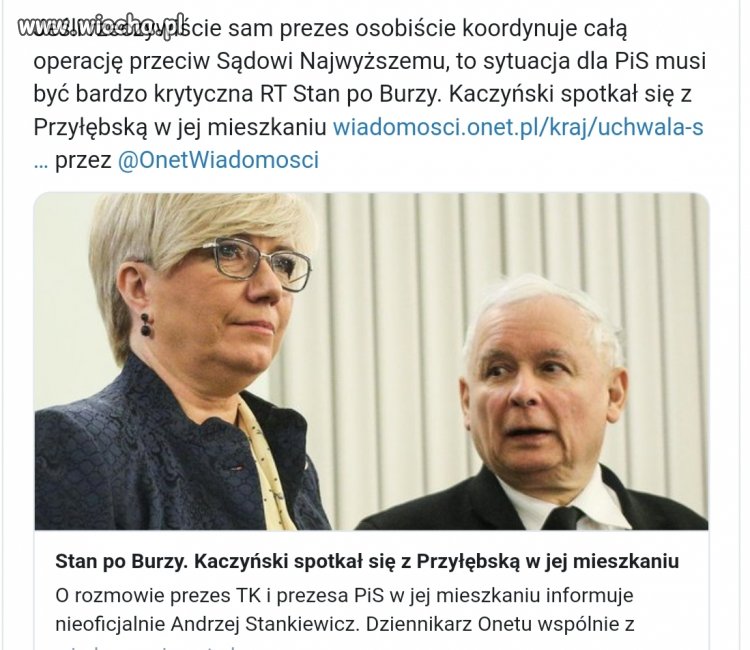Wrobelki na mieście ćwierkają że...