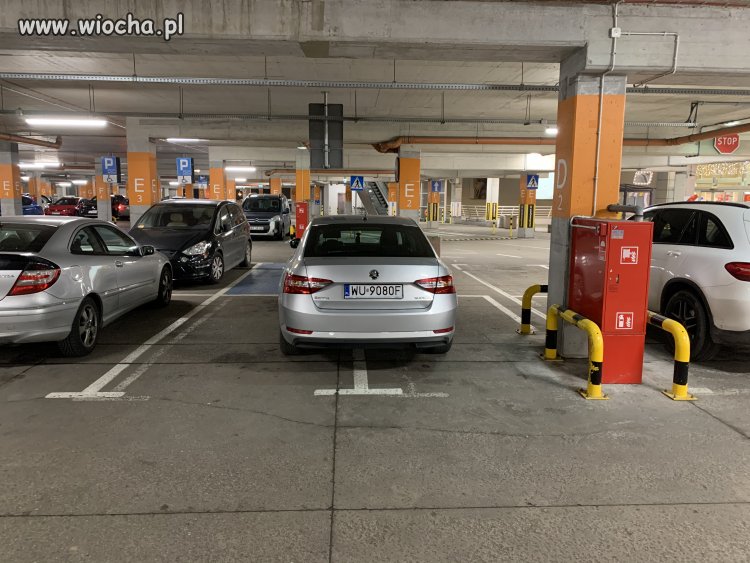 Linie są dla plebsu
