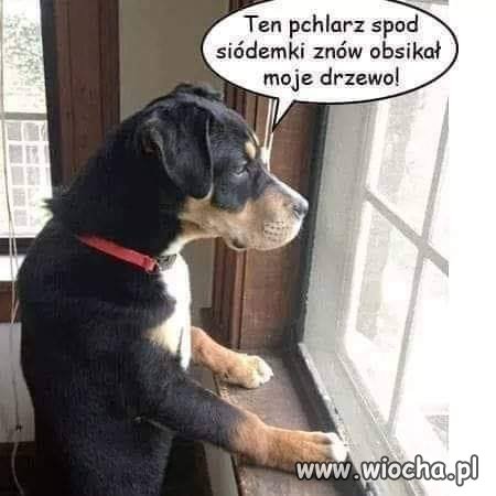 Tak to widać
