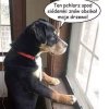 Tak to widać