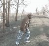 Skoczek