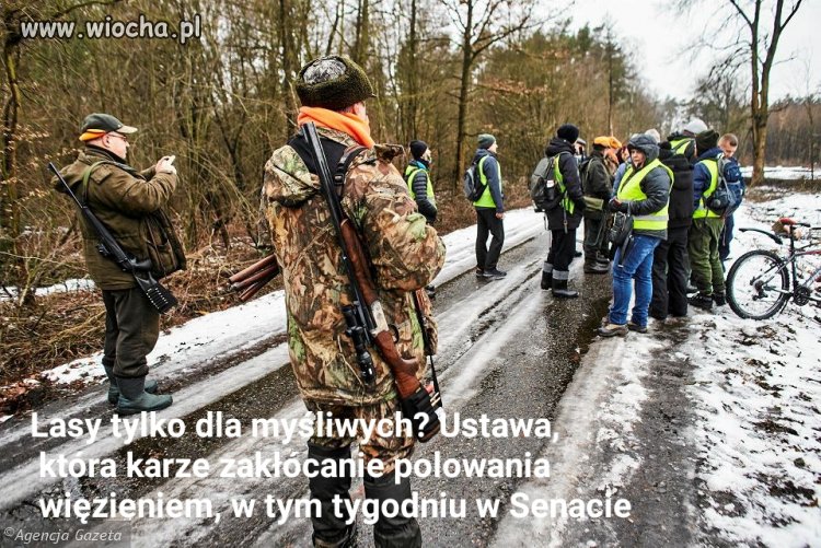 Strzelaki rządzą!!! Lasy tylko dla nich!!!