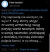 Odkrycie roku