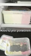 Potwór
