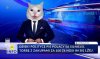 Z dnia na dzień nam lżej