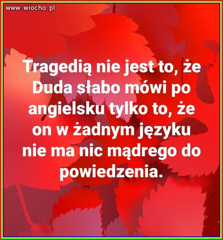 Tak to wygląda