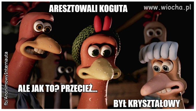Uciekające kurczaki
