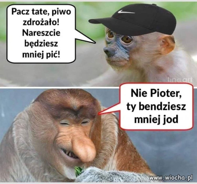 Noworoczny dylemat ojców z rodzin 500+