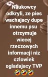 Odkrycia naukowe