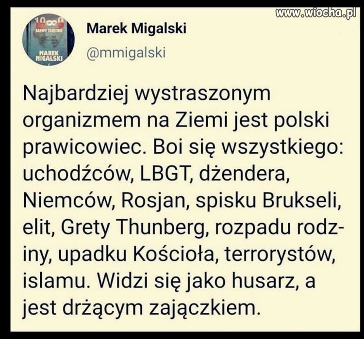 Wstrzelił sie w wypowiedź