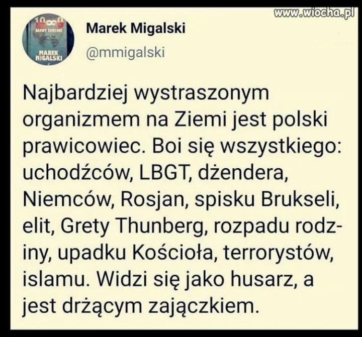 Wstrzelił sie w wypowiedź