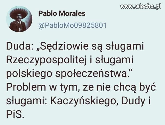 I tu jest pies