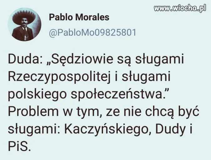 I tu jest pies